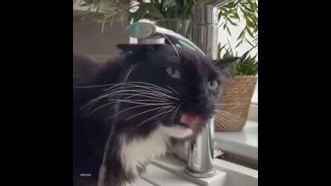 Error 404 Water Not Found.