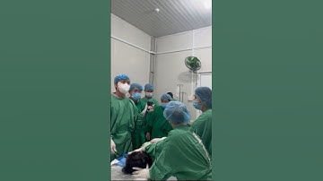 Cứu Sống 2 Bệnh Nhân Đột Quỵ Ở Phú Quốc