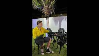 (FREE) Teto x Wiu x Matuê Type Beat ' new ' (Prod. White)