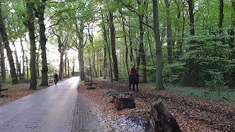 Herfsttafereel Bergen NH Sluislaan/Het (Oude) Hof/28 Oktober 2025