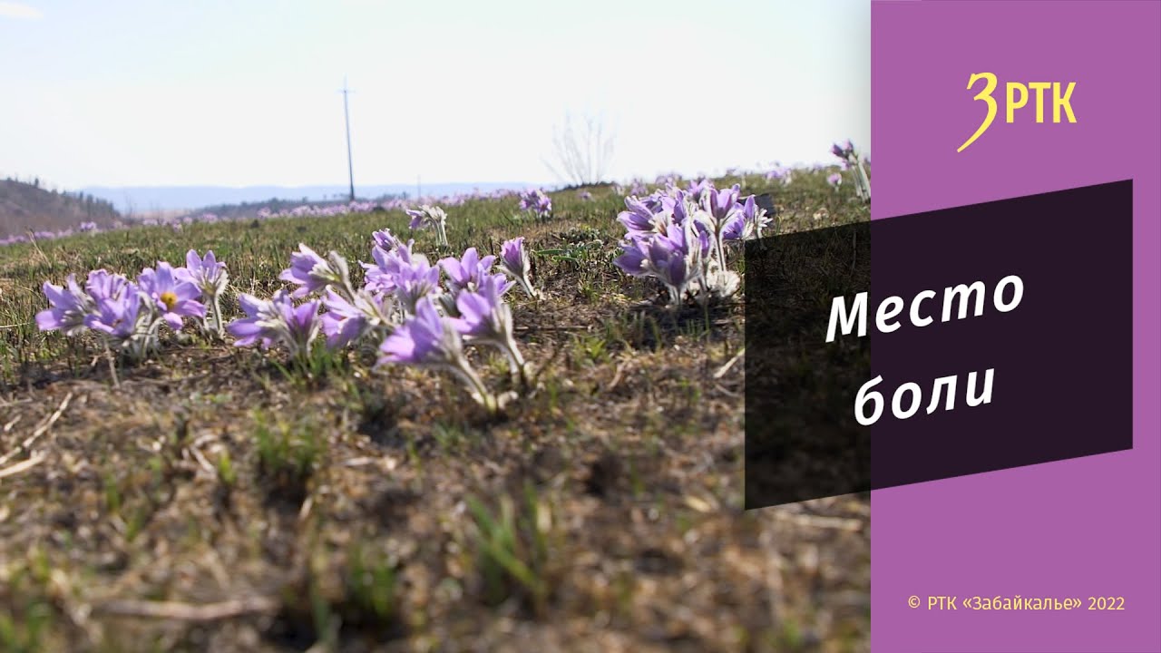 В Маккавеево доживали свой век «сталинские самовары» - покалеченные ...