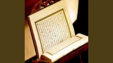 محمد المحيسني سورة الروم