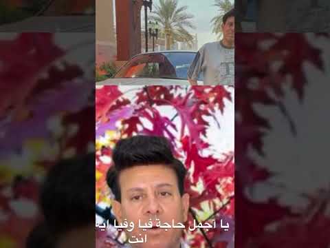 آه لو تعرف نجاة الصغيرة عبدالحليم حمدي