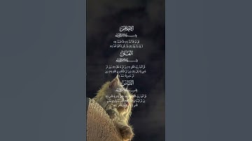 سورة الإخلاص || سورة الفلق || سورة الناس || 🎧🌱.                              قران_كريم