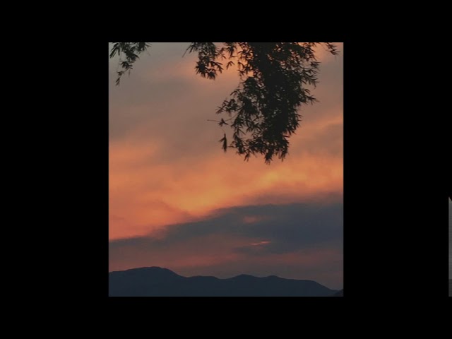 race the sunset