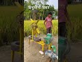 Water #army #farming #indian #agriculture #business #jugad