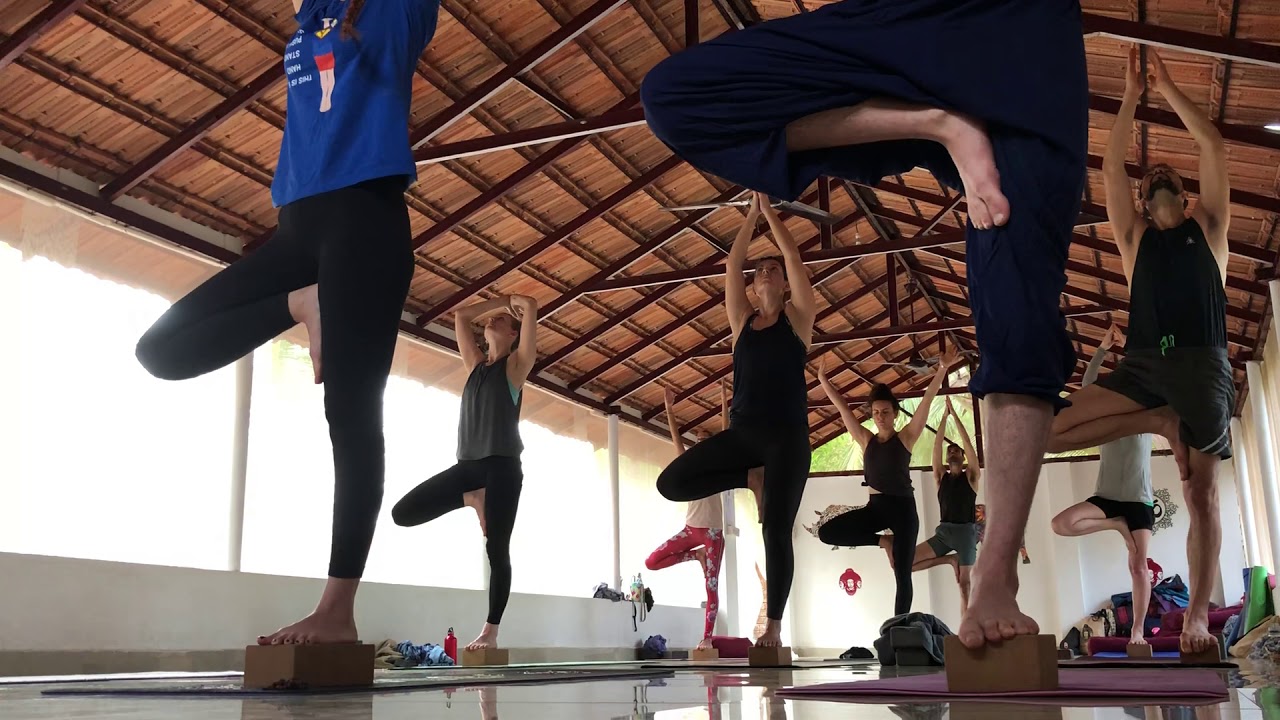 Vinyasa Flow training force