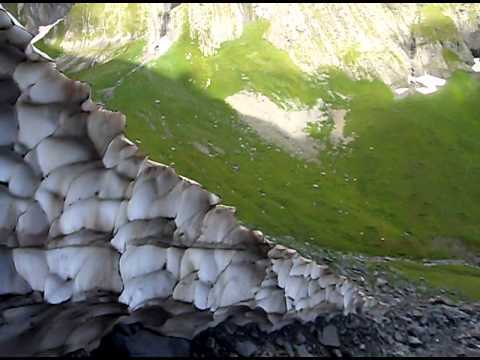 რაჭის კავკასიონი