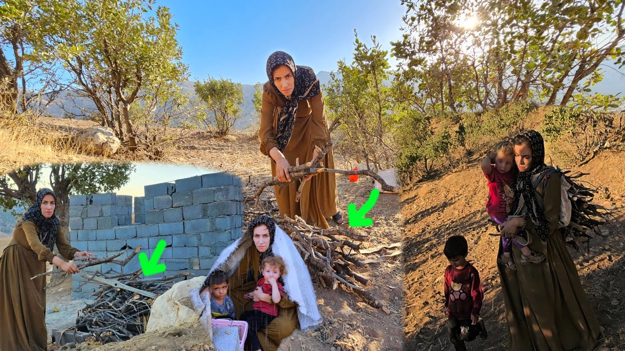 Gathering firewood in the rugged mountains: The hard life of a nomadic ...