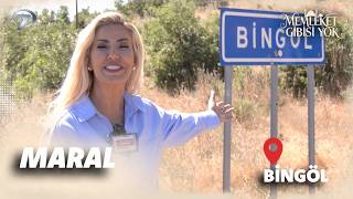 Rota belli, adres Bingöl! 🚗💨Halk Müziği'nin güçlü sesi Maral memleketi Bingöl'de...😍 ☀️📢 | Bingöl