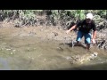 Los Cocodrilos del Rio Tárcoles parte 4