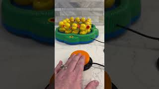 Switch Adapted Lucky Ducks Game