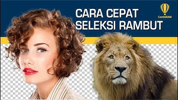 Cara Cepat Seleksi Rambut dengan Coreldraw - Hair Selection
