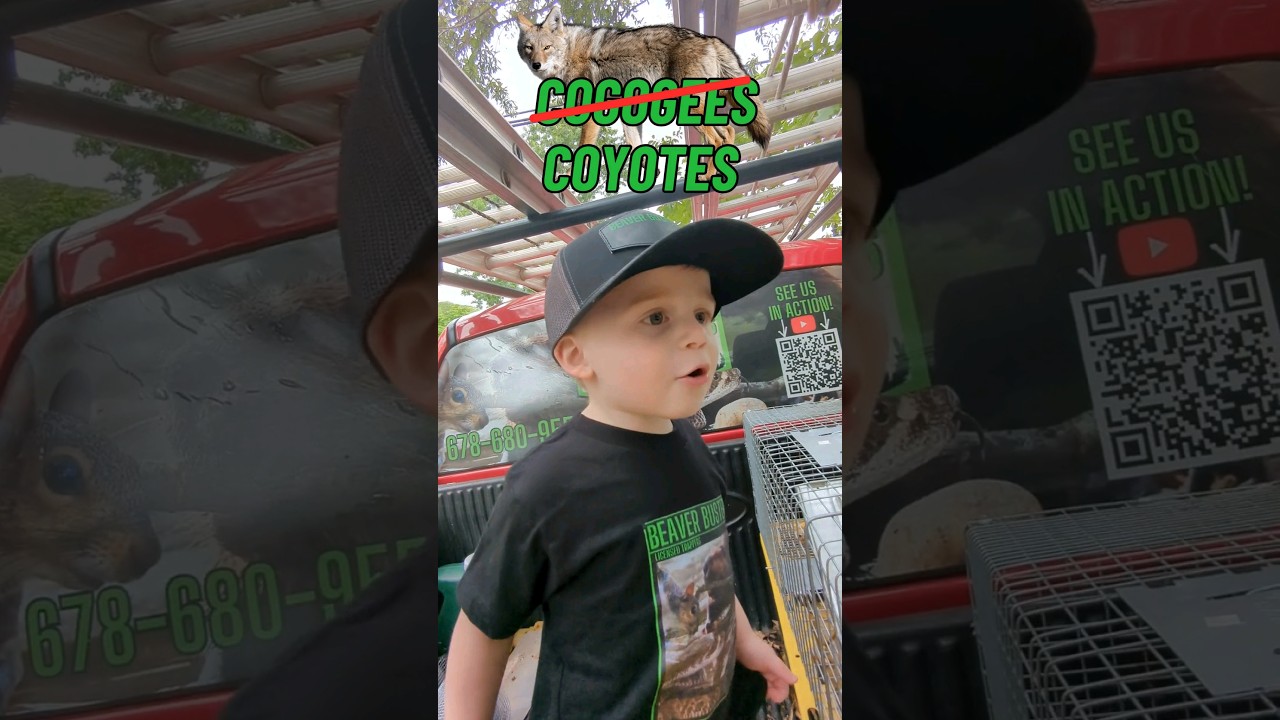 Beaver Busters is here to help! 