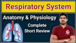 Respiratory system Basics | Anatomy and Physiology short Review