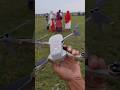 DJI mini 2 #reels #shortvideo #shorts #djimini2 #drone #dji #camera #new #video #viralsong #ytshorts