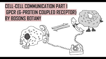 G-PROTEIN COUPLED RECEPTOR (PART-1) | GPCR | CSIR NET |CELL SIGNALING | IN ENGLISH