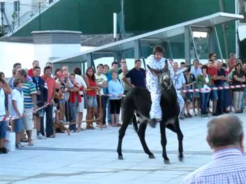 Annual Fiesta in Bakio with Donkey Race and Fireworks - Basque Country [Travel with Manfred]