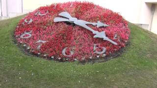 Gartengestaltung Beetgestaltung Pflanzen Uhr - Pflant Clock