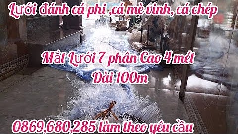 Lưới đánh cá 3 màn mắt 7 phân cao 4 mét dài 100 mét lưới đánh cá phi cá mè vinh cá chép