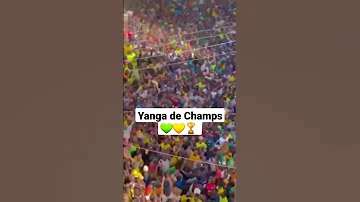 Yanga Sc The Champs Trendingvideo Ytviralshorts Fifa Yanga Nbcsports 