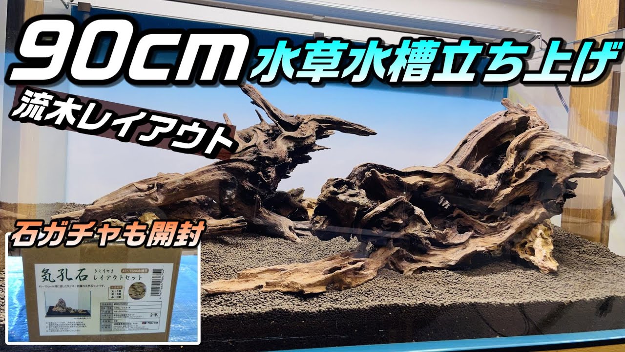 アクアリウム】90cm水草水槽立ち上げ！カミハタ石ガチャを使い迫力の