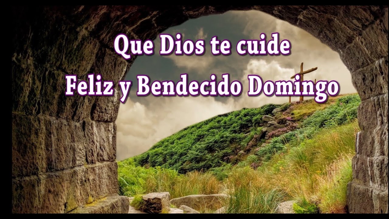 Feliz y Bendecido Domingo donante y donatario