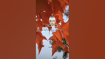 #المنشاوي #قران_كريم #تلاوة_خاشعة #المنشاوي_الباكي #تلاوة_مميزة #قران_كريم