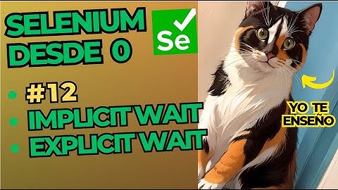 Selenium y java desde 0 # 12 : Esperas Explicitas e implicitas