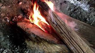 Good Morning Tubers... Good night from our tent in da woods :)  Bear awake now and gots fire :) prt6