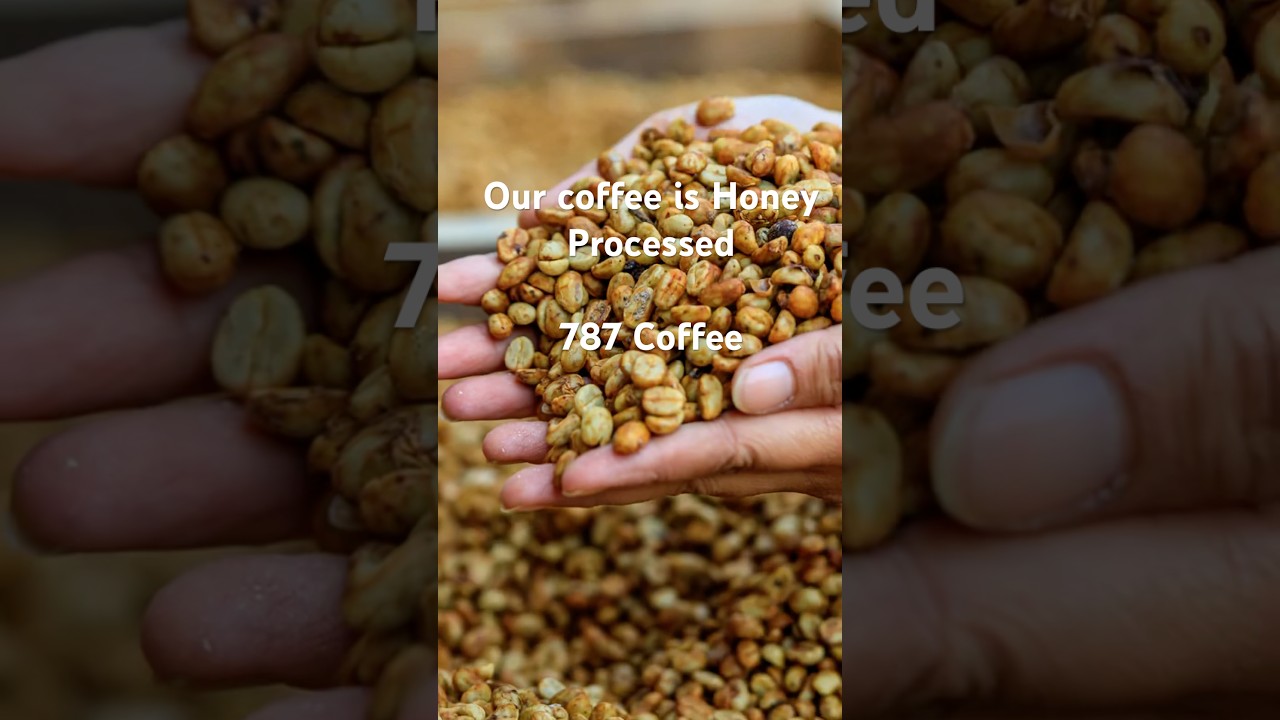 Want creamy coffee? 🍯 Honey Process adds body. Shop 787 Coffee . Best Coffee ☕️ 