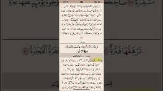 سورة التكوير من آيه ١ إلى ١٥ مكرره ١٠ مرات بصوت الشيخ علي الحذيفي