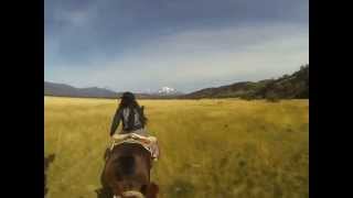 Cabalgata O Patagonico