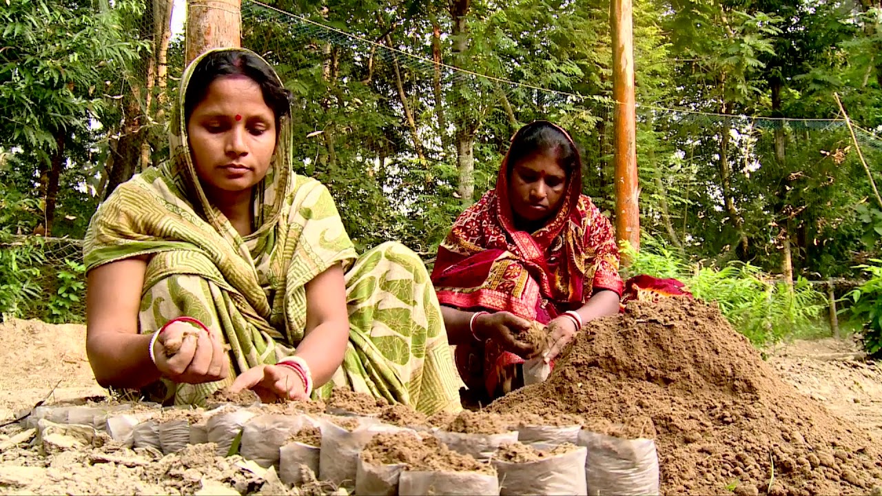 Digha Sankarpur Restoring the ecological balance