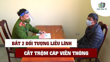 Bắt quả tang 2 đối tượng liều lĩnh trèo lên trụ điện cắt trộm cáp viễn thông