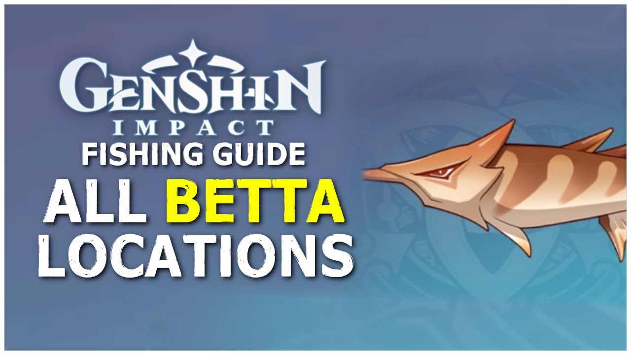 All Betta Fish Locations Genshin Impact YouTube