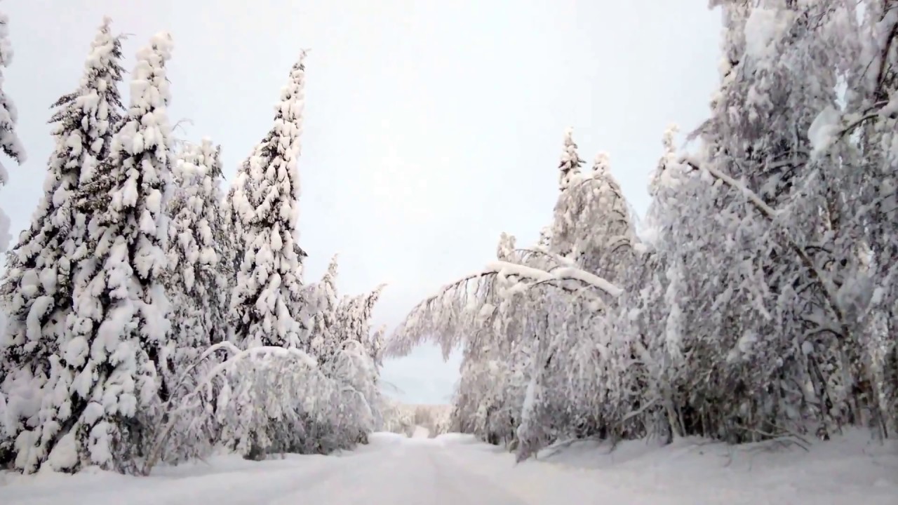 Tykkylumia Kainuussa