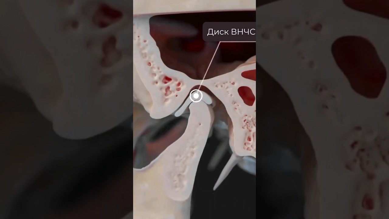 Стоматологи лечат не только зубы и десны, но еще и суставы. На видео показана их работа