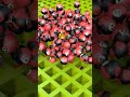Brainrot Face Ball Falling 146 😱 #roblox 🔥