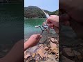 Kanama Luminous Shrimp Hooks - Let Your Shrimp Bait Swim Freely
