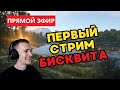 ПЕРВЫЙ ТЕСТОВЫЙ СТРИМ БИСКВИТА #раст #rust #стрим #бисквит @bisquise
