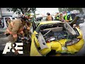Live rescue most viewed moments from fort myers florida  ae
