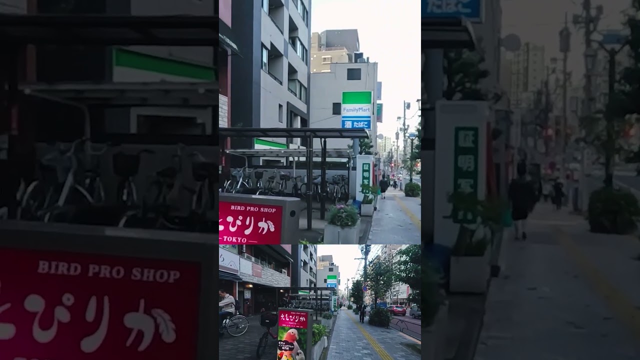 Tokyo Local Life: Komagome’s Quiet Streets and Relaxing Atmosphere 【Walk in Japan】 駒込