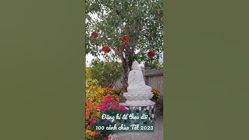 #5 💯 cảnh Chùa Tết Quý Mão 2023 #100canhchua #shorts #short #tet2023 Tịnh Xá Ngọc Thành #tbdaudio