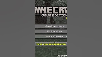 The SECRET Pirate LANGUAGE In MINECRAFT?