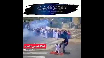مسلمانان چه گناهی کردن 