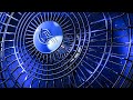Fan Sounds for Sleeping | 24/7 Fan Noise Live Stream!