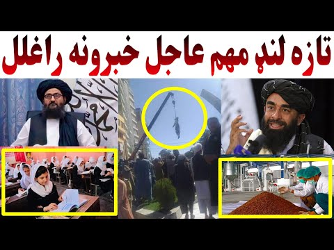 تازه لنډ مهم بیخي عاجل خبرونه راغلل ضرور وګورئ