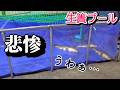 2mプールの水が無くなってしまったので…