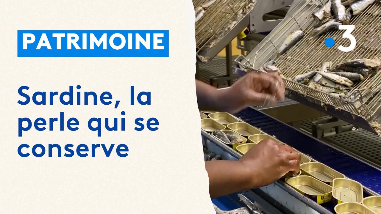 Visite de la dernire conserverie de sardine de Vende